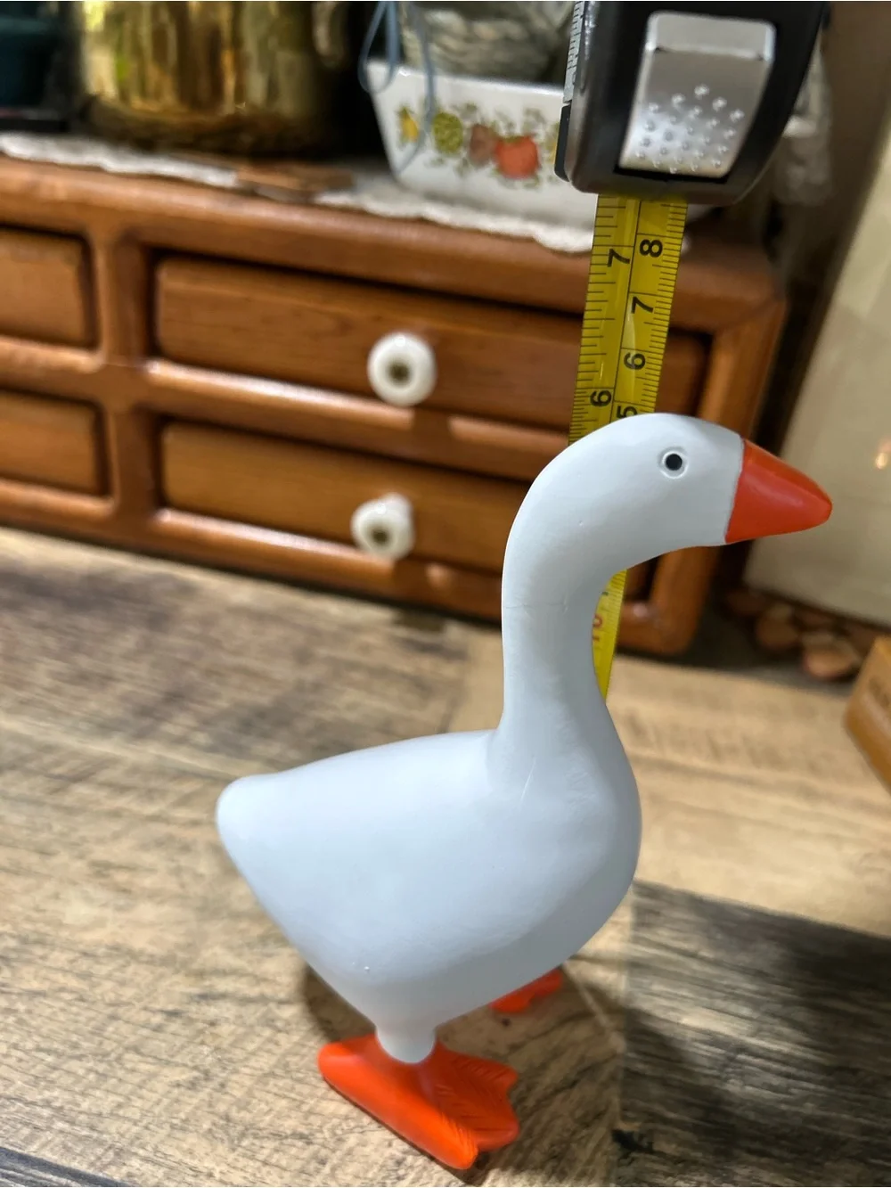 A new kitchen helper! A kitchen goose!